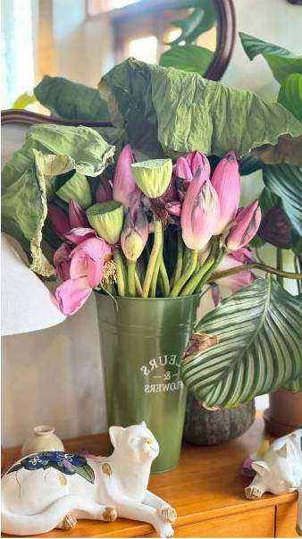 Legal banner — Gekavo floristry training